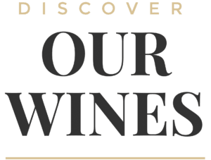 discover our wines
