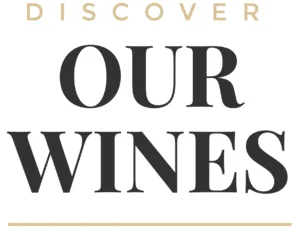 discover our wines