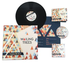 Change We Need : album et vinyle